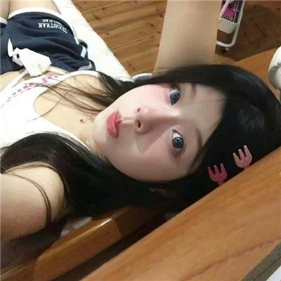 动物频道